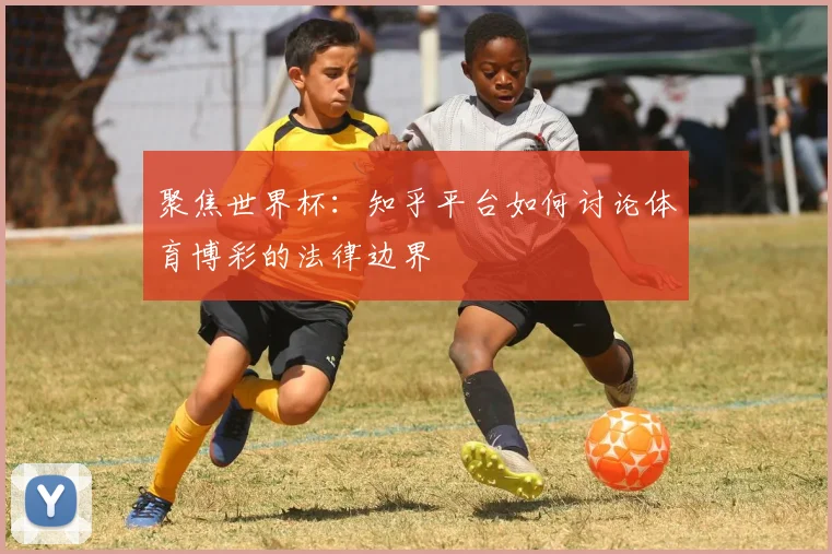 聚焦世界杯：知乎平台如何讨论体育博彩的法律边界