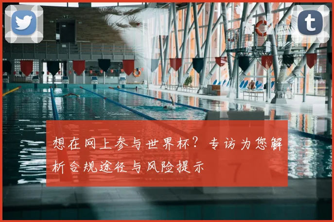 想在网上参与世界杯？专访为您解析合规途径与风险提示