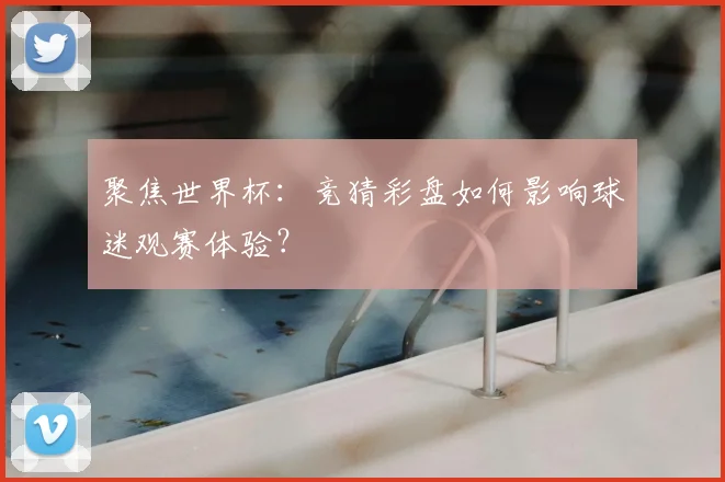 聚焦世界杯：竞猜彩盘如何影响球迷观赛体验？
