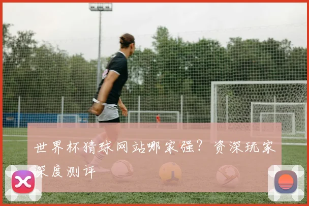 世界杯猜球网站哪家强?资深玩家深度测评
