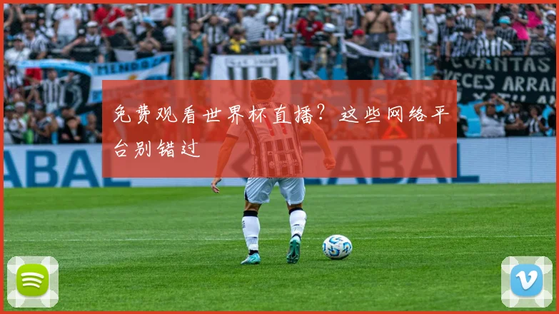 免费观看世界杯直播？这些网络平台别错过