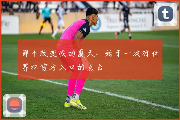 那个改变我的夏天，始于一次对世界杯官方入口的点击
