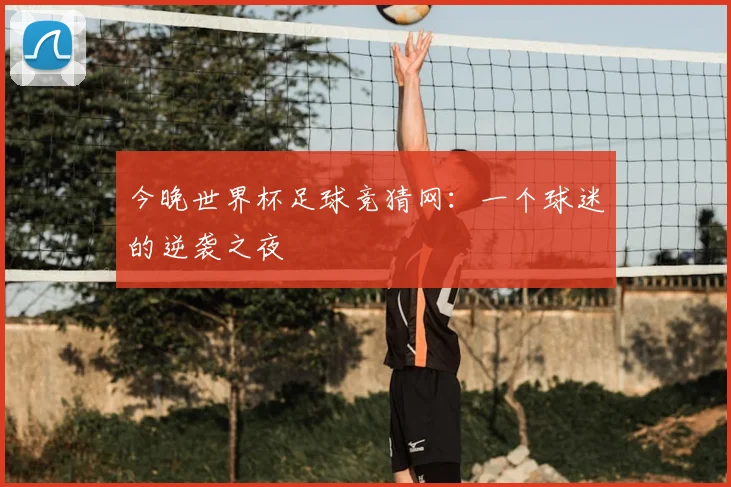 今晚世界杯足球竞猜网：一个球迷的逆袭之夜