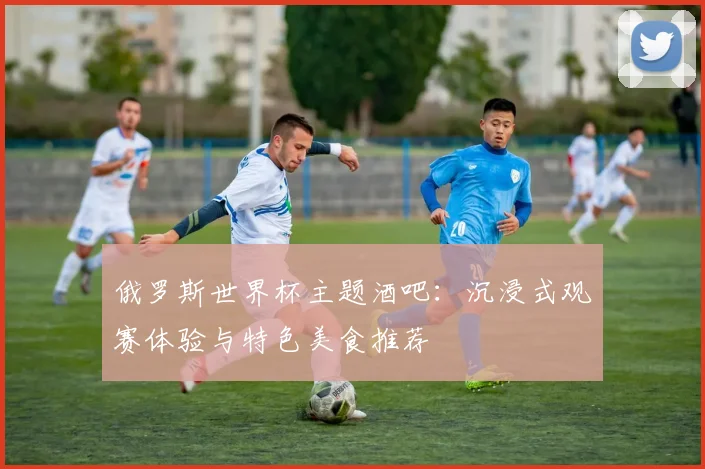 俄罗斯世界杯主题酒吧：沉浸式观赛体验与特色美食推荐