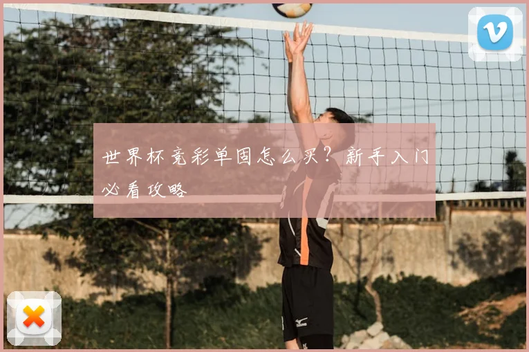 世界杯竞彩单固怎么买？新手入门必看攻略