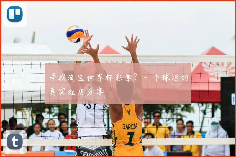 寻找淘宝世界杯彩票？一个球迷的真实经历分享