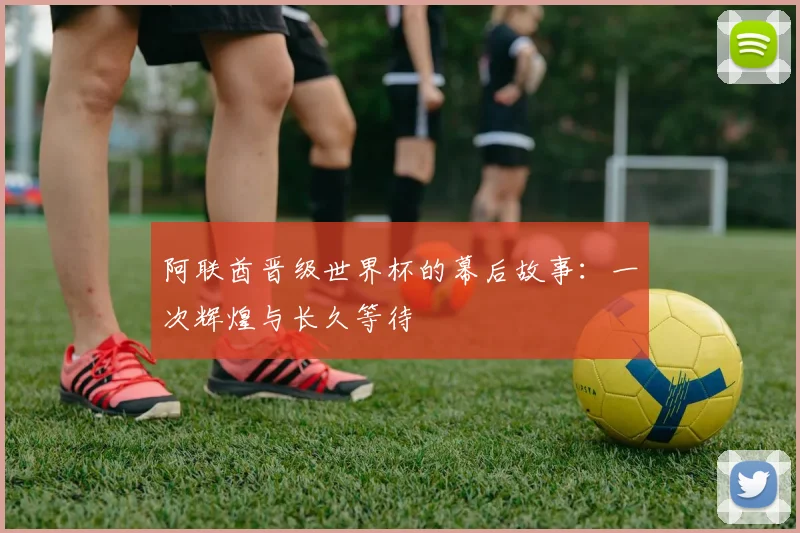 阿联酋晋级世界杯的幕后故事：一次辉煌与长久等待