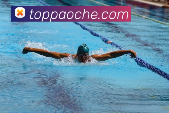 c7网站服务体系